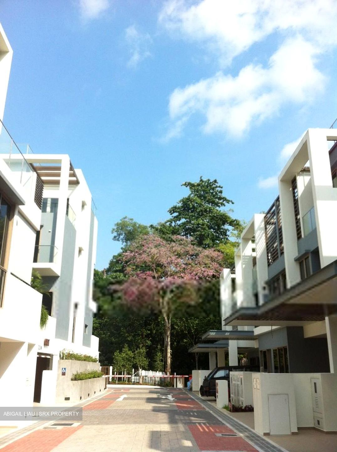 Tagore Avenue (D26), Terrace #569224591